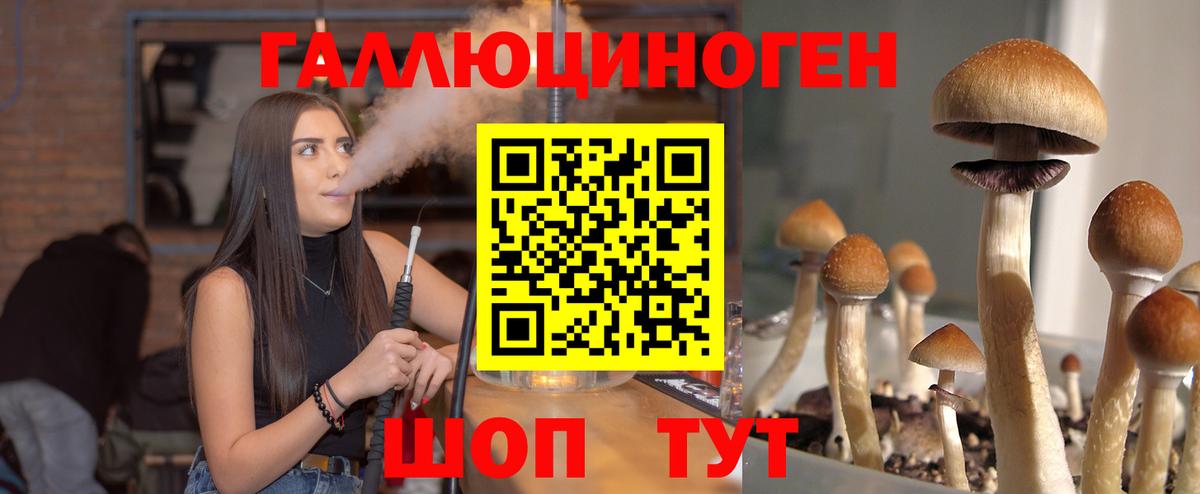 Псилоцибиновые грибы Cubensis Надым