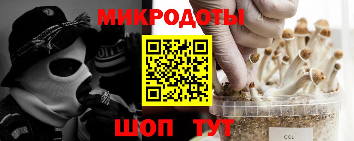 Псилоцибиновые грибы Psilocybine cubensis  Псилоцибиновые грибы GOLDEN TEACHER  Вход с VPN  Надым 